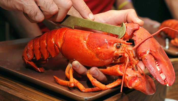 缅因州,龙虾,Emoji