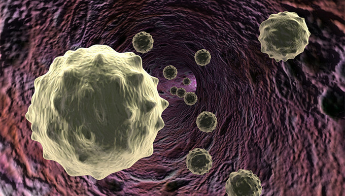 儿童用药,新生儿呼吸暂停,临床试验机构,药品审评中心,不合理用药,联合用药,封面,盐酸利多卡因