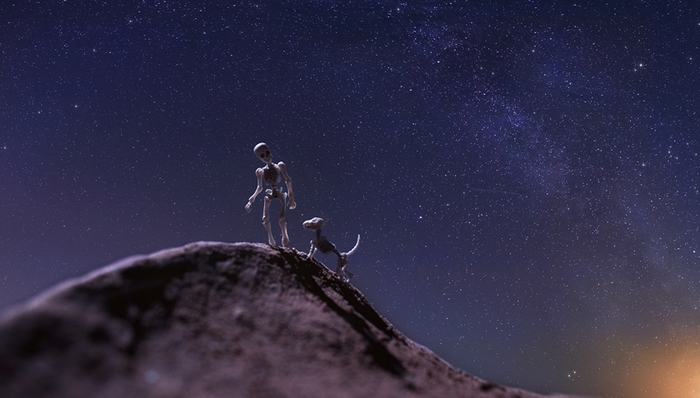 天下故事,惊奇的发现