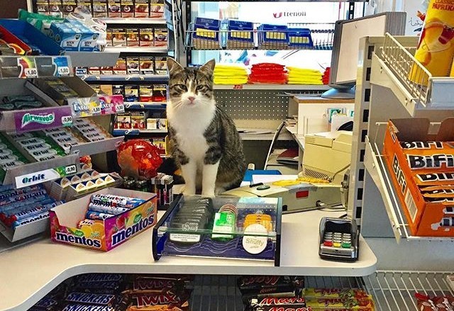 无人零售,无人货架,硅谷