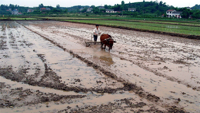 改革试点,农村土地制度,农村集体,三块地,试点经验,改革重点,乡村治理,两权,改革成果,宅基地使用权