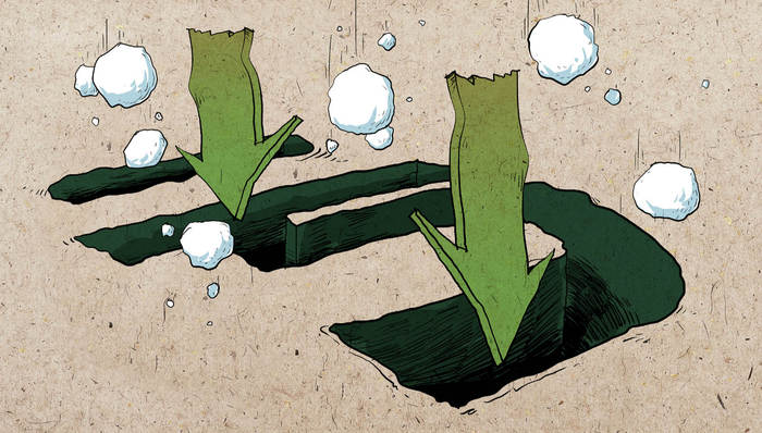 国开泰富,丹东港,债券基金