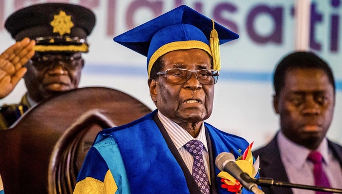 津巴布韦,穆加贝,游行,格雷丝