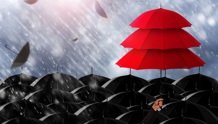 方案,养老保险制度,国有股权,社保基金,国有资本经营预算,基本养老保险基金,持股主体,财务投资者,主