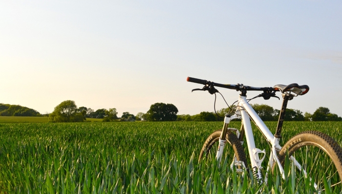 单车,友星,电子围栏,股份转让系统,凯路,线上线,公关人员,每日经济新闻,押金,梦融