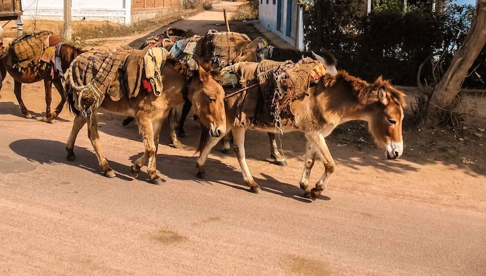 天下故事,惊奇的发现