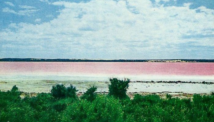 粉红色消失不见 澳大利亚Pink Lake可能要改名了