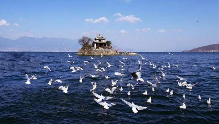 云南旅游,黑导游