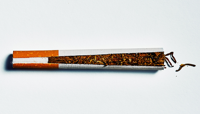 烟叶税,税率,贡献,烟区,税收法定原则,控烟,纳税期限,纳税地点,三中全会,税收立法