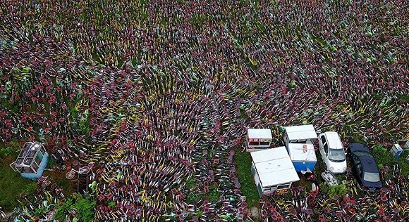 共享单车,共享残骸