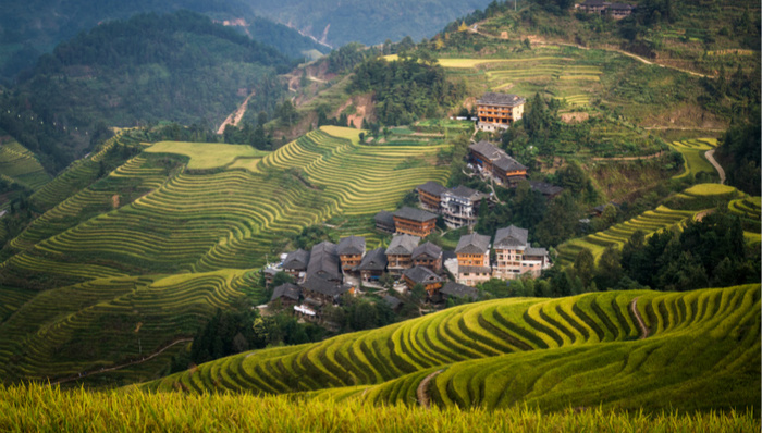 一座苗寨的脱贫路