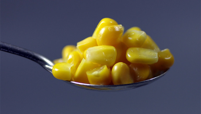 农业部转基因,生物监管方案