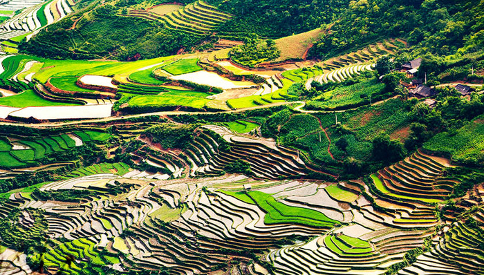 白族,古镇,游人,酸木瓜,最故乡,放生,旅发,彩云之南,客栈,增加值