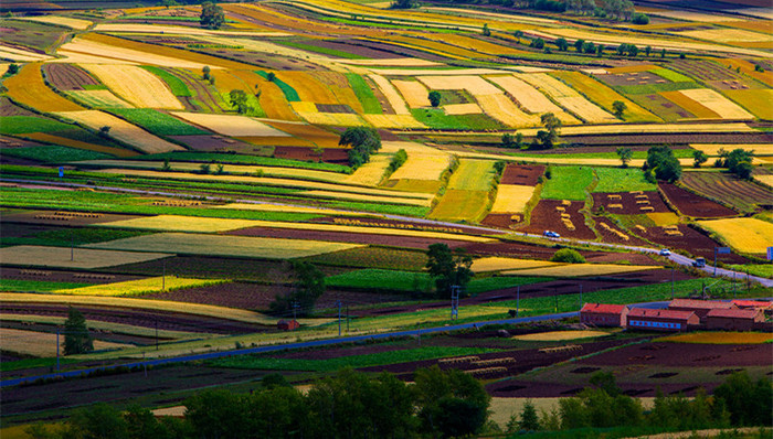 国土资源部,永久基本农田,保护