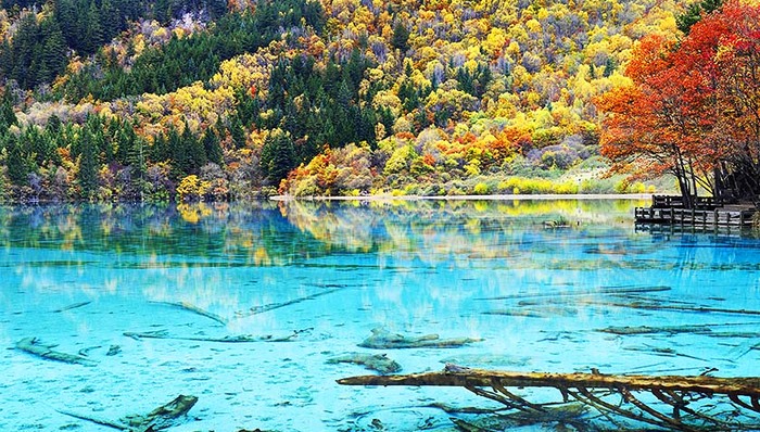 九寨沟景区,接待游客,散客,日则沟,南湖国旅,广州游客,镜海,同程,团队游客,旅游线路