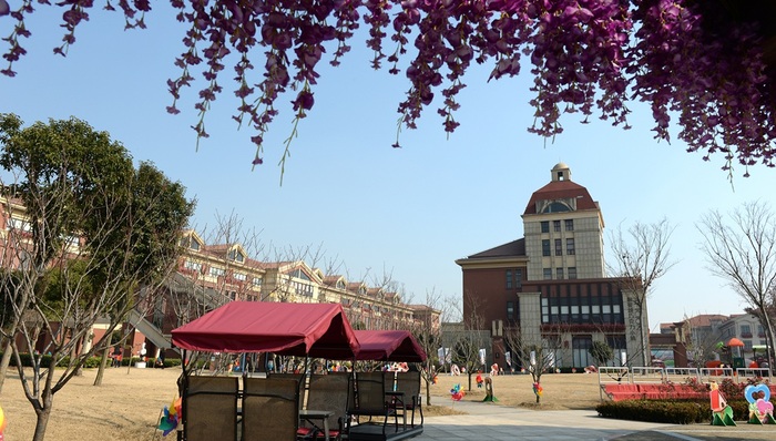 宏观眼,共有产权,特色小镇