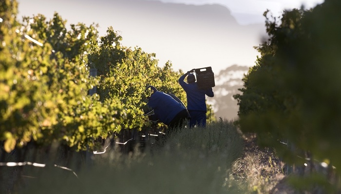 南非,土地改革,外交,非洲社会