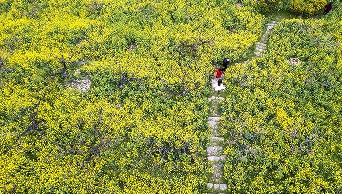 中央一号文件,降解效率,国千,游客接待量,小镇,光伏发电,夏半年,斯康,雾都,香饽饽