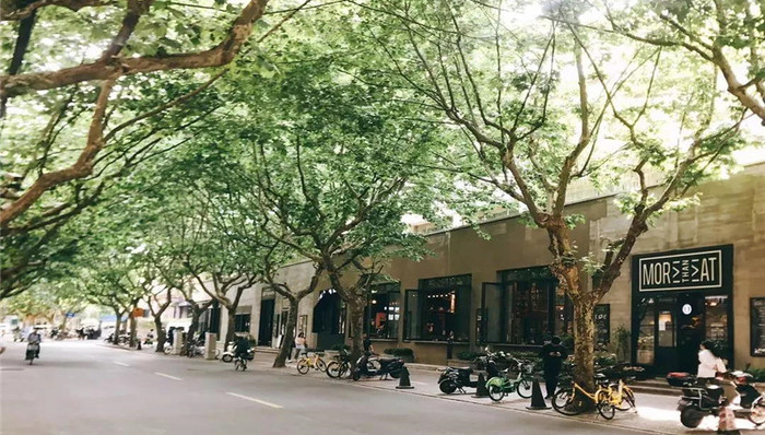 “巨富长”过气了?这些新店告诉你,不可能的!