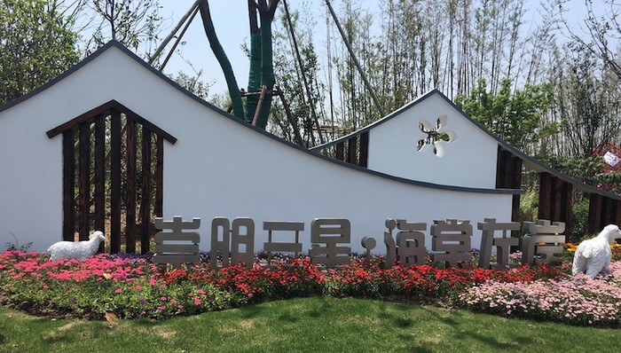 美丽中国长江行,新安村,试验,振兴乡村,上海,崇明