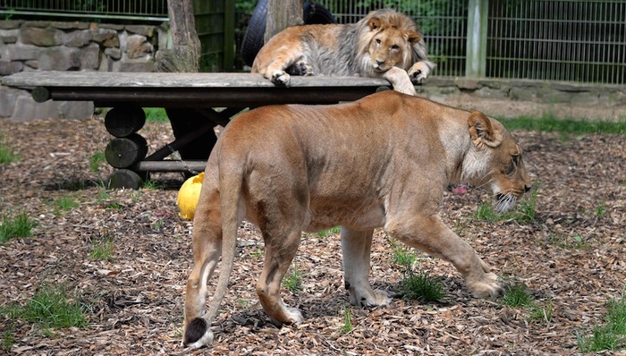天下故事,惊奇的发现