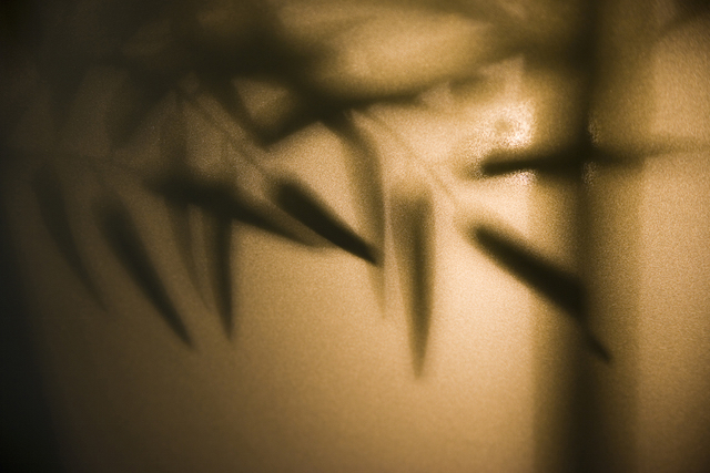 【追踪】被“猝死”的同学聚会