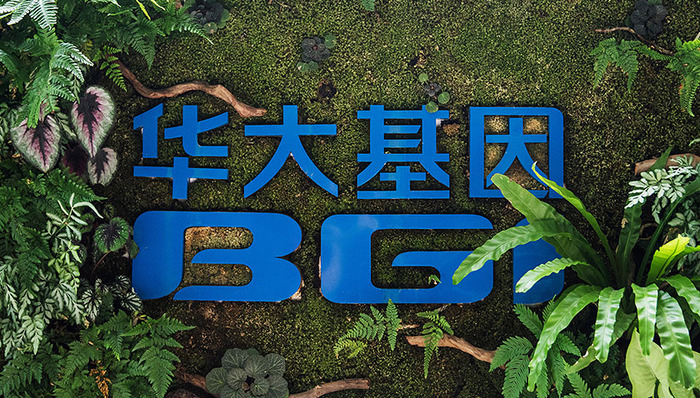 华大基因