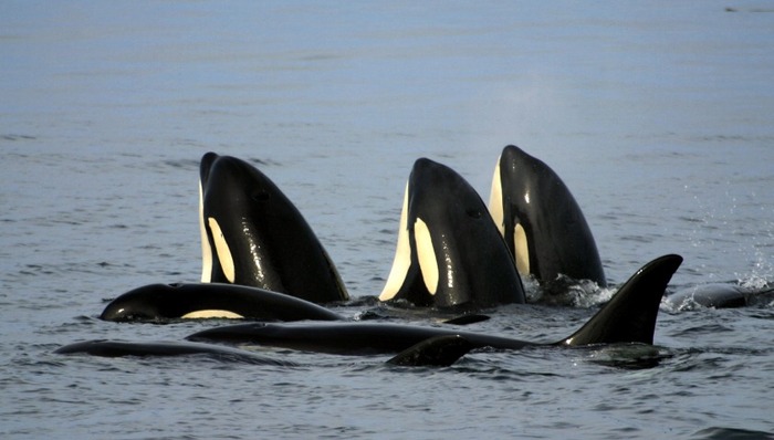 天下故事,惊奇的发现