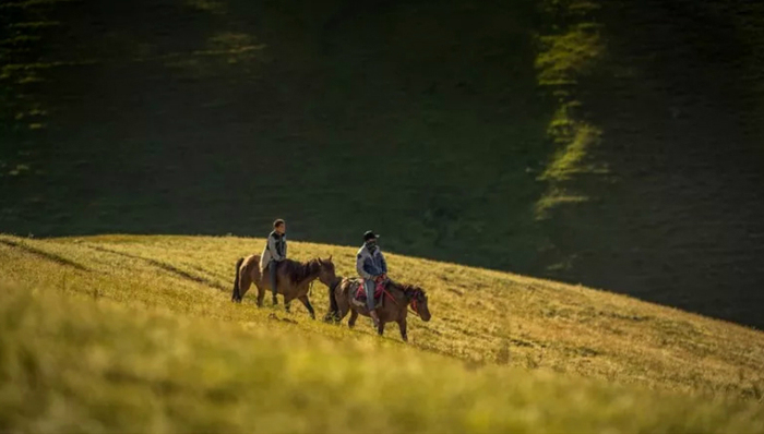 区块链,挖矿,矿工