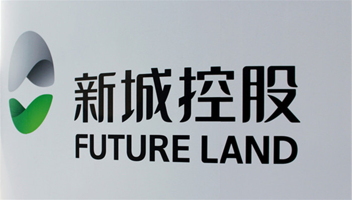 上市公司,新城控股,财报那些事