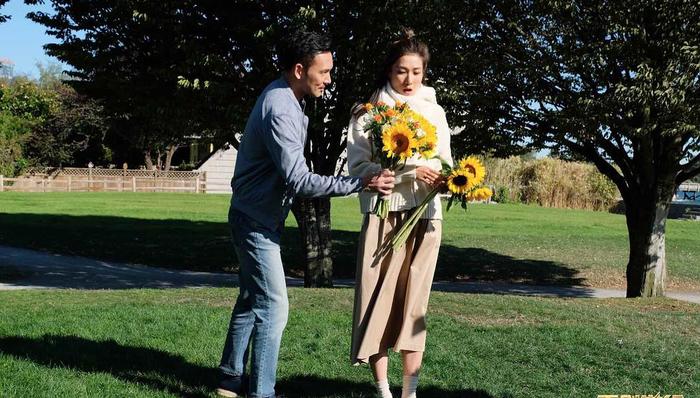 TVB剧集,爱回家,商战剧,美剧,奶茶,内地,再创世纪,收入达,手心,创世纪