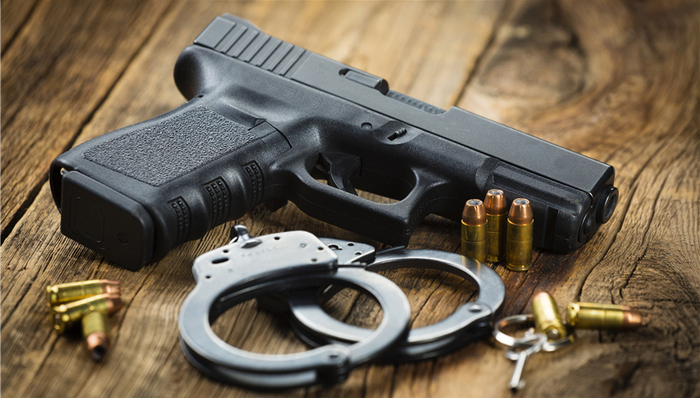 公安部,枪爆物品,扫黄打非,网络文学,红色经典,中美贸易纠纷,东北虎