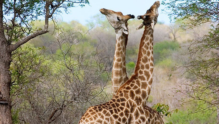 新书,书评,科学新知