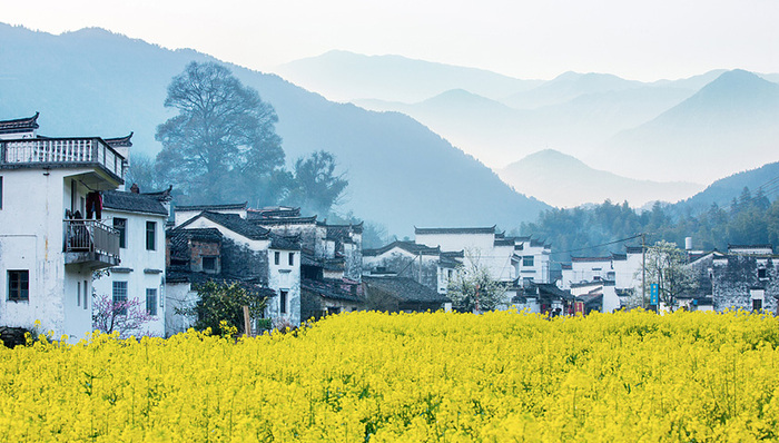 江西景区,门票,外国人