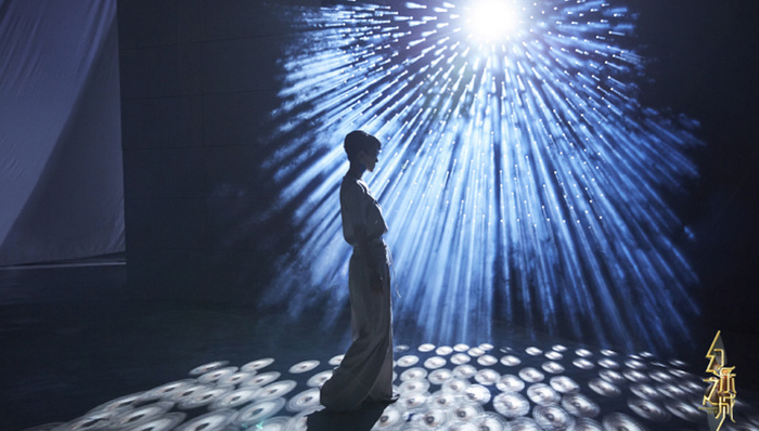 限薪令,片酬,薪酬,王菲复出,综艺节目,圈钱,明星艺人,证券日报,收益,避难所