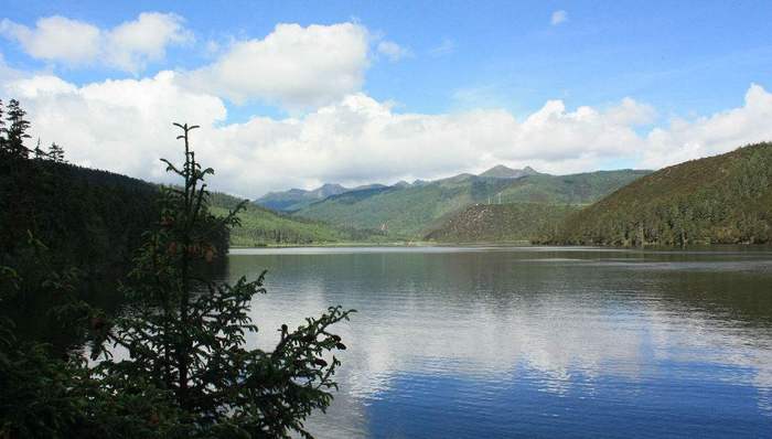 做最好的自己,发愤著书,信念,总书记,核潜艇,康辉,黄老,老师,马克思主义基本原理,竹石