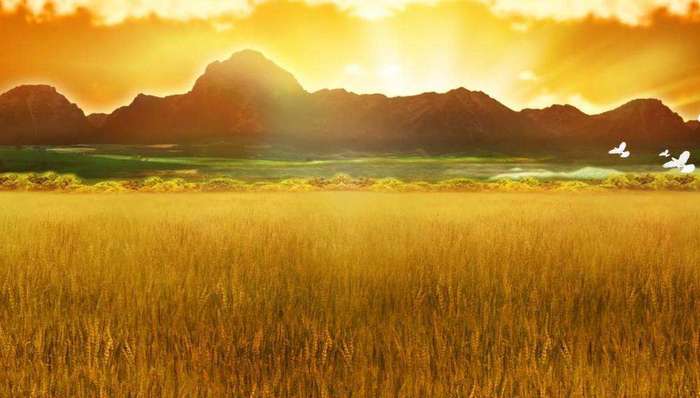 平型关战役,685团,东河南,旅团长,日军飞机,平型关大捷,光明日报,八路军,乔沟,口袋