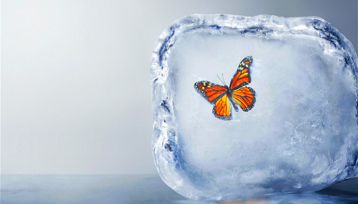 领导力,本土企业,贝恩,领英,跨国企业,人力资源,人才