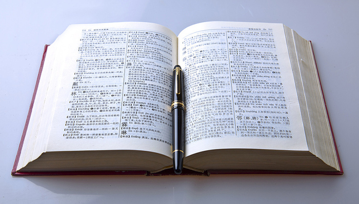 锦鲤,网络用语,官宣,资源监测,皮一下,支付宝,教育部网站,网络媒体,网络新闻,skr