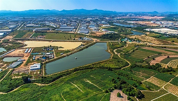 碧桂园,人事变动