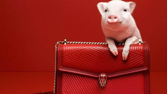 宝格丽撤下受争议的“Jew营销”,本土营销决策如何影响品牌全球形象?