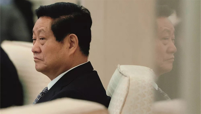 赵正永,一把手,过香积寺,陕西省委,陕西韩城,陕西煤炭,财经,官场,情况报告,别墅项目