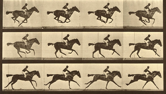 历史,摄影,书评