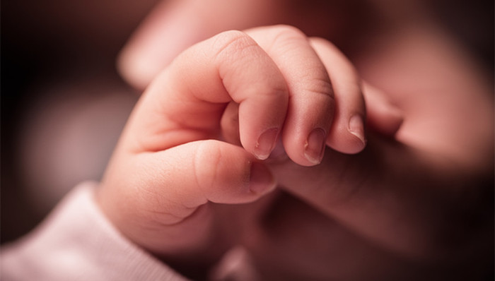 成武县,社会抚养费,计划生育