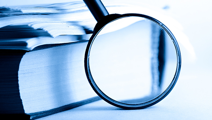 看点,国民待遇,投资法,草案规定,负面,外商投资企业,清单,商务主管部门,外国投资者,外资政策