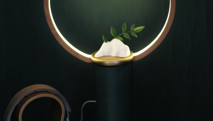 生活方式,展览推荐