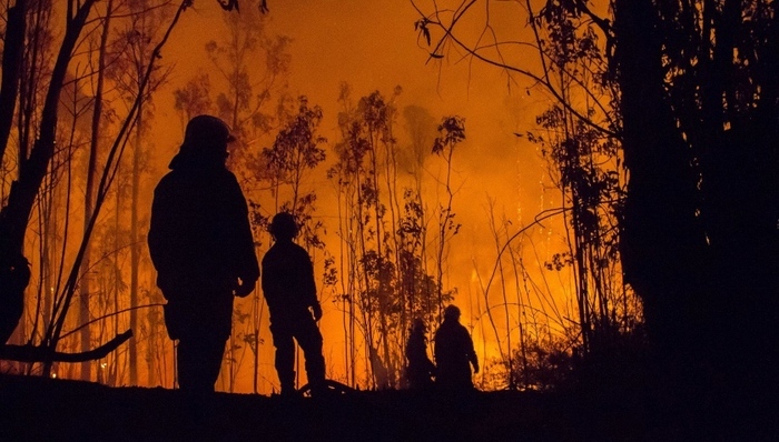 森林火災(zāi),消防員