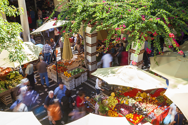 【深度】砸钱,刷单,挖角:京东美团拼多多都盯上了这个新市场