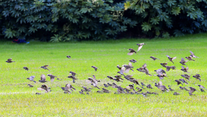 上海,中国,,环保