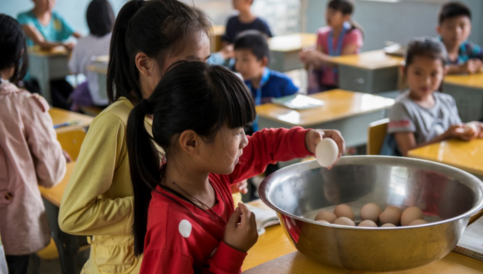 报告:贫困儿童吃两个学期鸡蛋,能改善身高体重